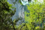 2014-07-05_Laengental-N-Hochweg (612). JPG